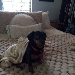 Meet your Posher, Lisa